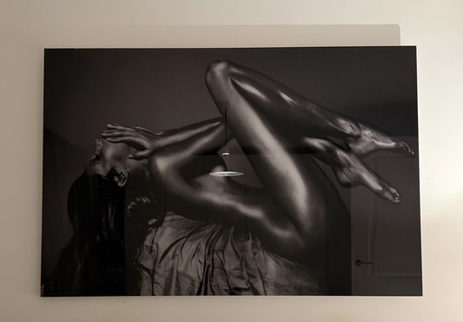 Cobra Art Igor Vasiliadias Purification 150 x 100