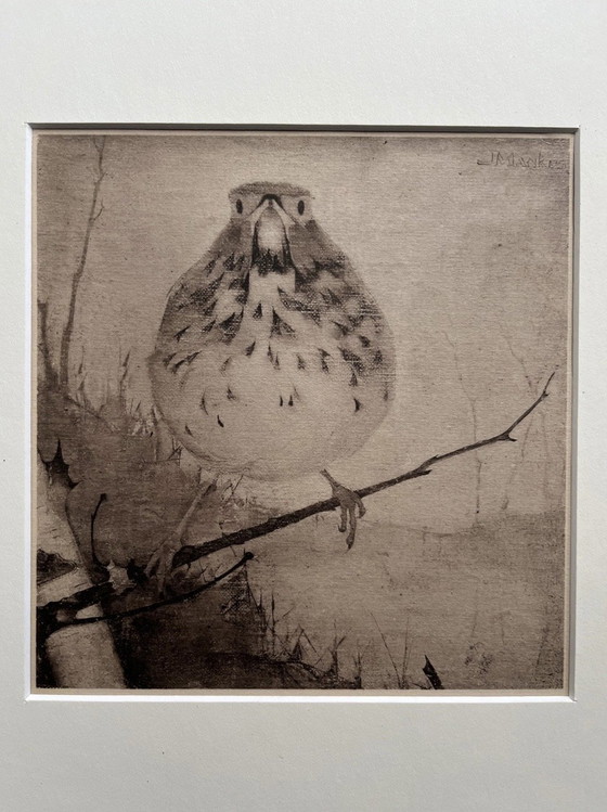 Jan Mankes 1889-1920 / Heliograbado Zorzal en rama 1923 – Litografías y grabados, Paper (photo 9 of 11)