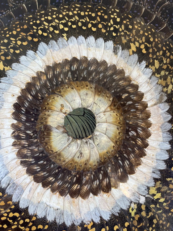 Image 1 of Tableau aile de papillons