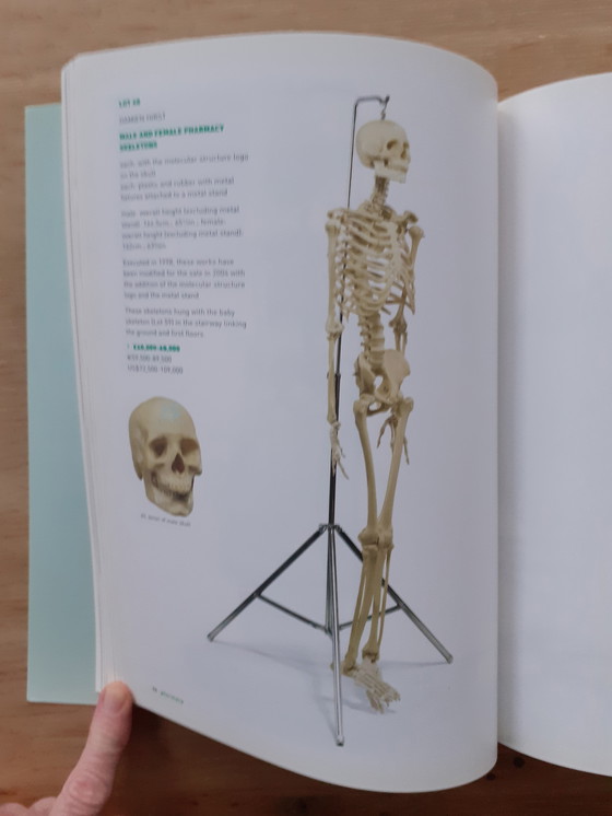Image 1 of Catalog D. Hirst Sotheby's London 2004