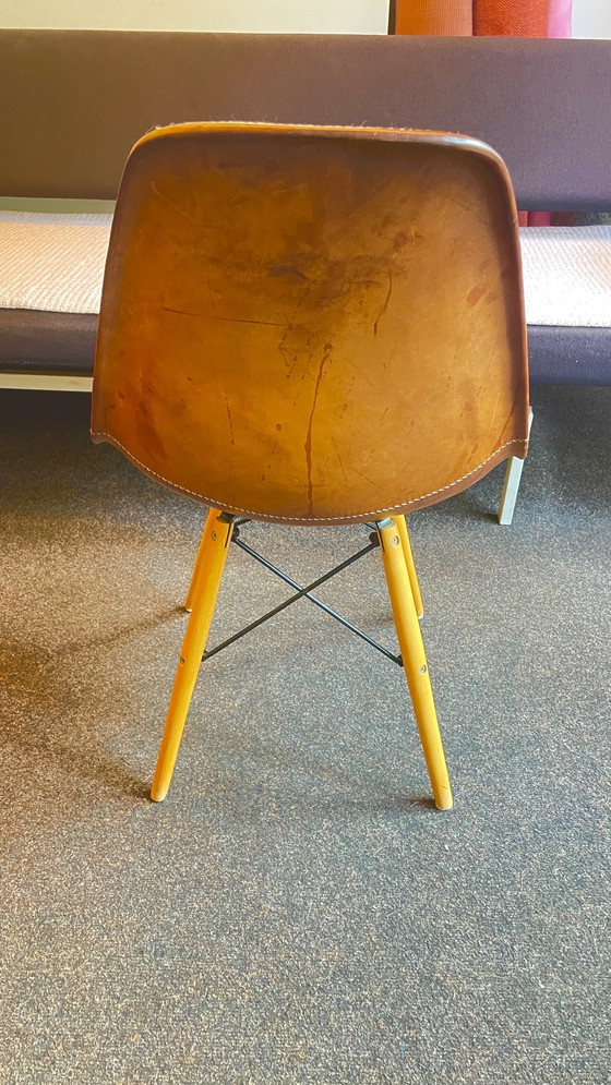 Image 1 of Einzigartige Sol&Luna