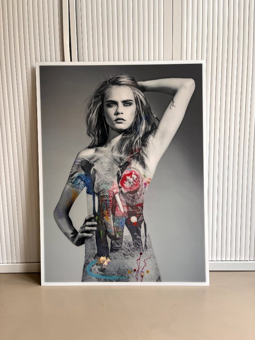 Arno Elias – I’m Not A Trophy serie - Cara Elephant