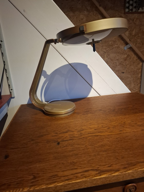 Image 1 of Lupela rey / cobra lamp
