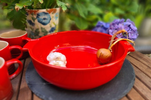 1x Peugeot Appolia Oven dish Round 27 cm - Red - Ceramic