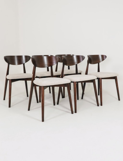 Set di 6 sedie da pranzo moderne, legno di faggio ecrù e noce scuro