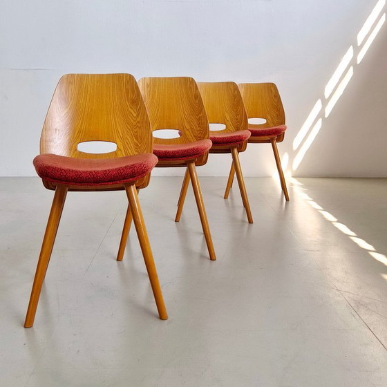 Chaises Mid-Century de František Jirák “Lollipop”, Vintage années 60, Tchécoslovaquie – TON (photo 2 of 12)