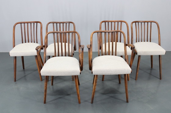 Image 1 of 1960 Antonin Suman Ensemble de six chaises de salle à manger en hêtre, restaurées