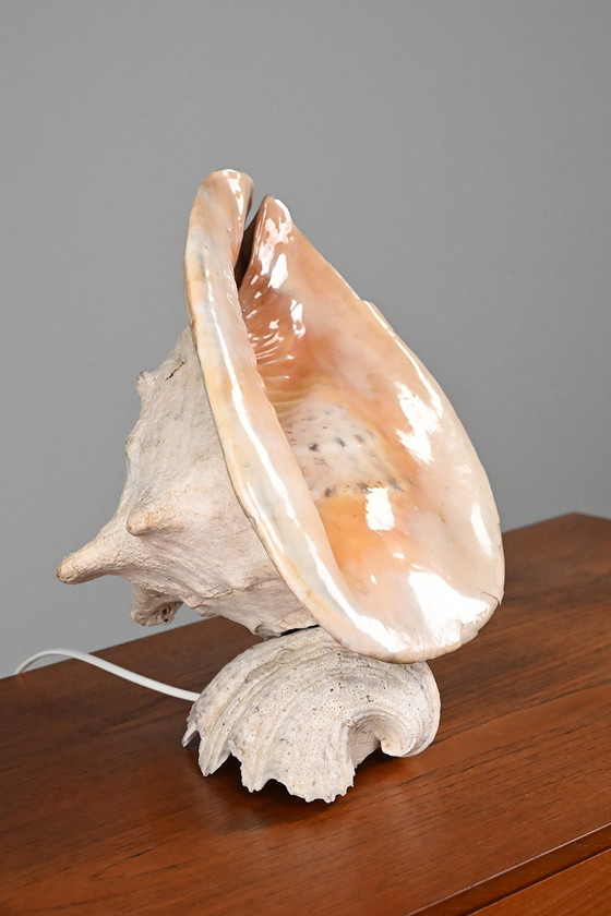 Image 1 of Vintage schelplamp