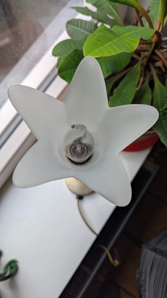 Lampada da tavolo in ottone con paralume a tulipano in vetro smerigliato, Lampade da tavolo, Dorato (foto 6 di 8)