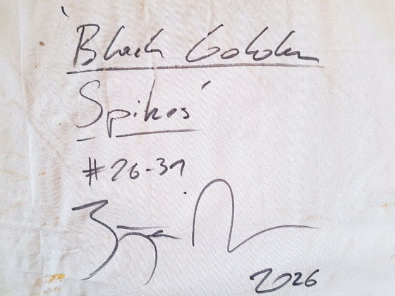 Image 1 of Jürgen Angeler - Black Golden Spikes - XXL