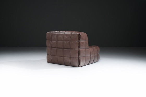 Image 1 of Atemberaubender, patinierter Kashima Lounge Chair (1982) von Michel Ducaroy - Ligne Roset