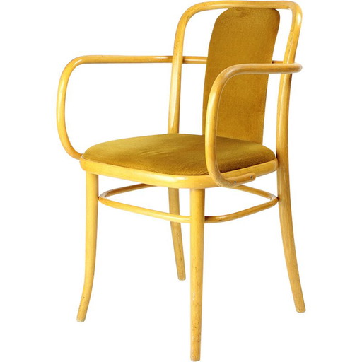 Sillón vintage de madera curvada y terciopelo dorado para Ton, Checoslovaquia, 1930