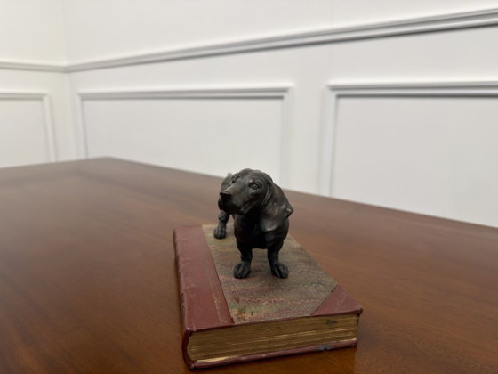 Scultura antica Bloodhound – Sculture, Bronzo, Pelle (photo 8 of 8)