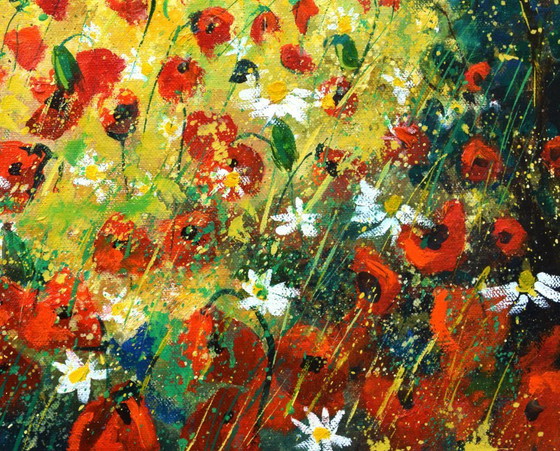 Image 1 of Rote Mohnblumen im Sommer