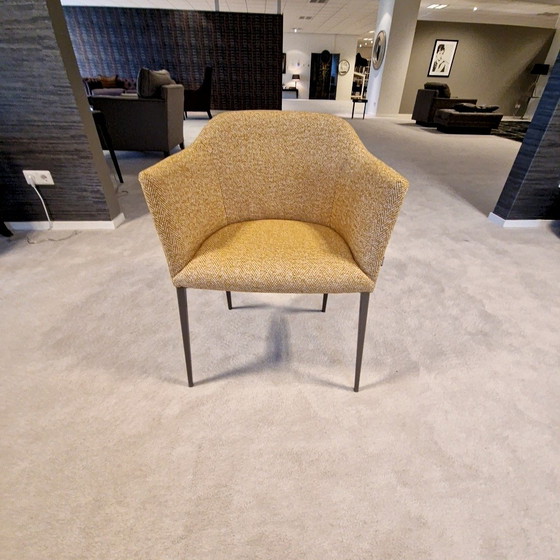 Image 1 of Porada Grace dining chair (set of 6)