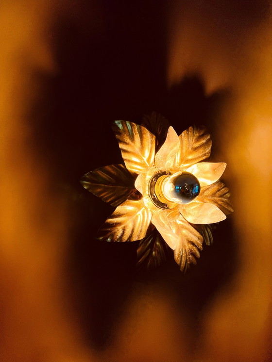 Image 1 of Bellissima lampada da parete a forma di foglia (Hans Kogl)