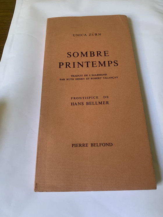 Lot of 2 Surrealist/Dada books - Original Editions with dedications by R. Valançay (photo 8 of 20)