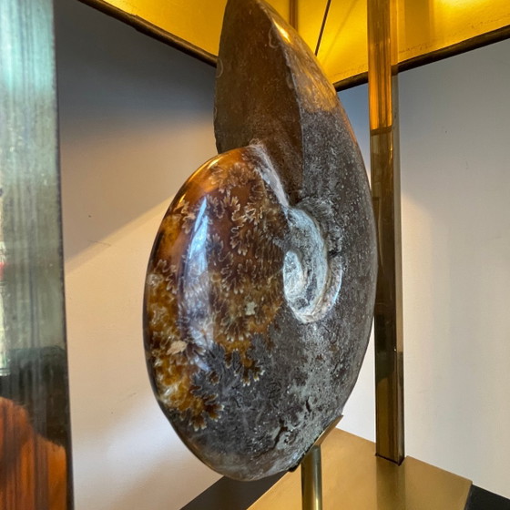 Lampe vintage Hollywood Regency Ammonite en laiton doré et bois laqué noir de Maison Jansen, 1970 (photo 5 of 19)