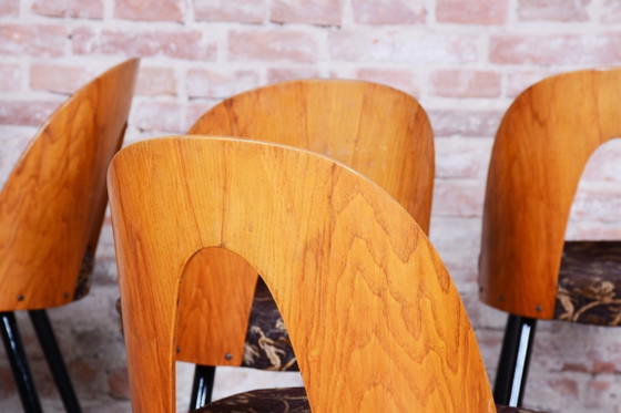 Set of Four Restored Mid-Century Chairs, Beech, Oak, Slovakia, 1950-1959 – Tatra Nábytok, Dining chairs (photo 9 of 11)