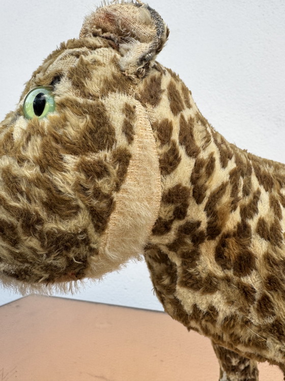 STEIFF pluche luipaard uit de jaren 50 – Decoratieve objecten, Textile (photo 14 of 15)