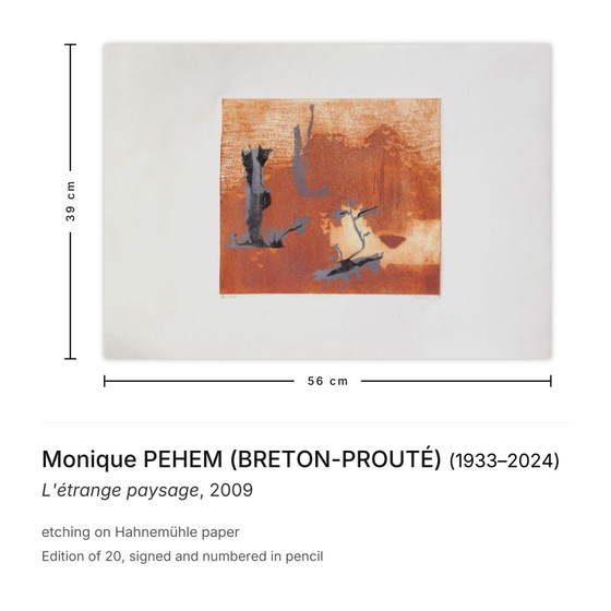 Monique Pehem (Breton-Prouté) Gravure Signée L'Étrange Paysage 2009 – Lithographies et sérigraphies, Paper (photo 3 of 5)