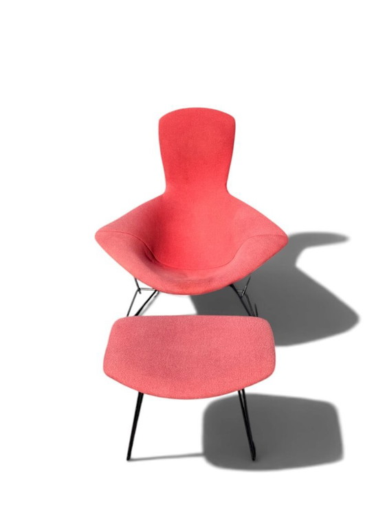 Autentica poltrona e poggiapiedi "Bird" di Harry Bertoia per Knoll - Acciaio nero e rosa sbiadito (photo 2 of 12)