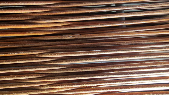 Image 1 of Sillas Miss B de Tito Agnoli para Pierantonio Bonacina