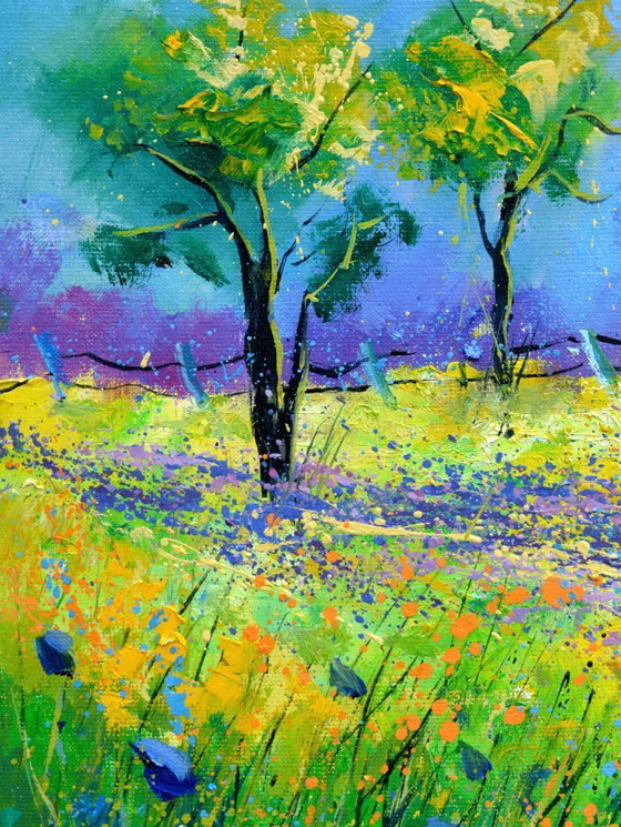 Image 1 of Blooming Orchard