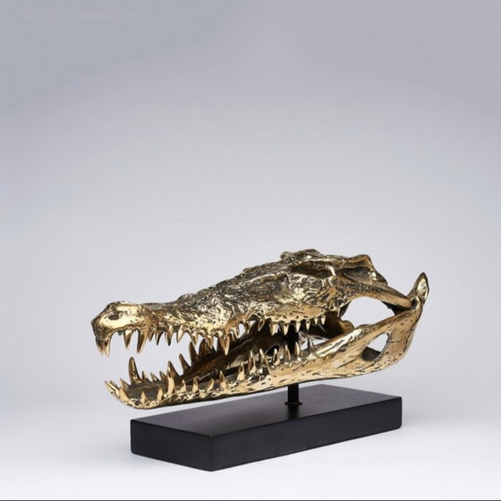 Image 1 of Sooka Sculpture, saltwater crocodile skull 37 cm bronze