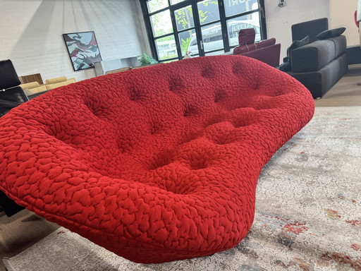 Ligne Roset Ploum