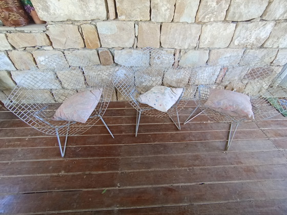 Image 1 of 3 Sedie Diamond Mod. 421 Harry Bertoia per Knoll -  Vintage da Restaurare