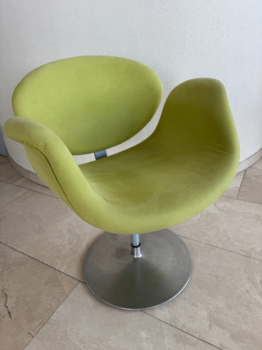 4 sedie Artifort Little Tulip. Da rivestire.