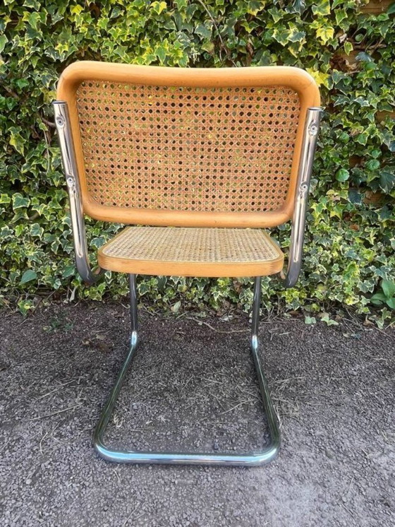 Image 1 of sedia in canna