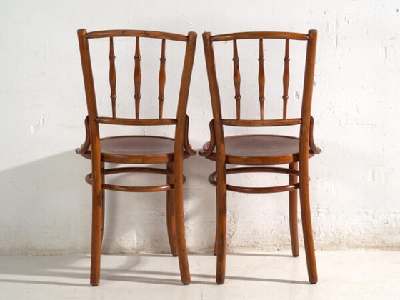 Sedie antiche in legno curvato stile Thonet – Europa Centrale, c. 1930 – Set di 4 #8 – Sedie da pranzo (photo 32 of 40)