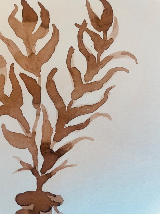 Image 1 of Painting, monochrome sepia still life "dried flowers", signed