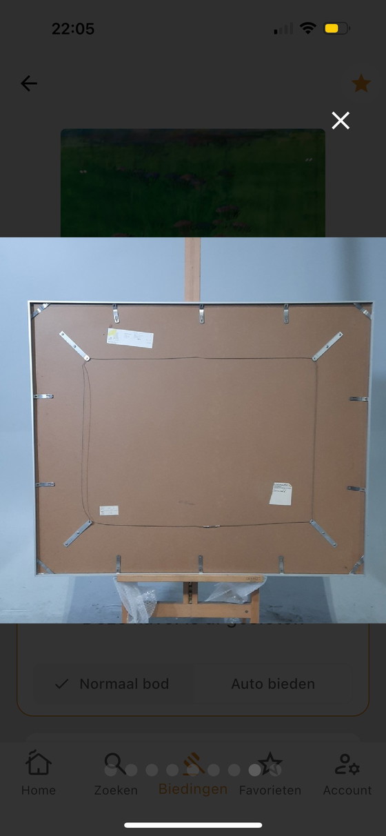 Image 1 of Maya Wildevuur - aquarelle - 91x110 cm - Champ de fleurs