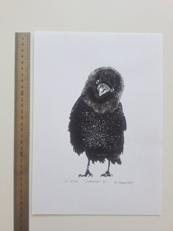 Linoleografia 'Kauwtje' – H. Tasperse, Arte, Carta (photo 4 of 6)