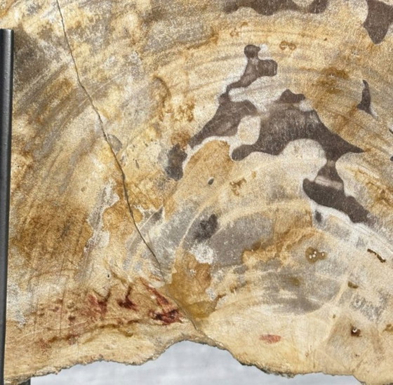 Image 1 of Bois fossilisé de Sooka, fabrication sur mesure standard (neuf)