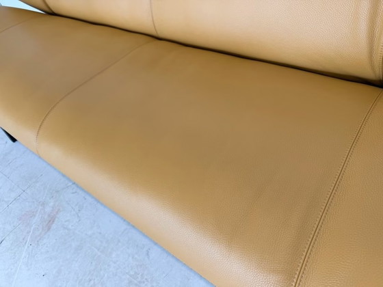 Leolux Tango Divano in Pelle Design Classico – Divani, Metallo (photo 12 of 17)