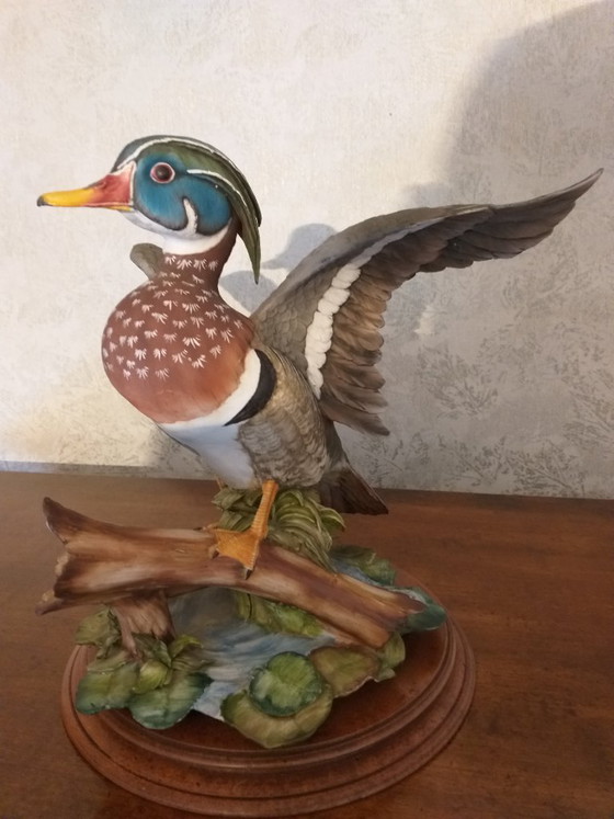 Galleta Porcellane Edordo Tasca – Edoardo Tasca, Esculturas, Porcelain, Wood (photo 6 of 6)