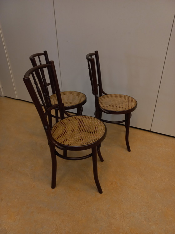 Image 1 of Satz von 3 Café-Stühlen im Thonet-Stil