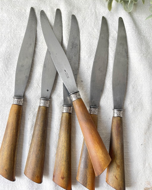 6 Cuchillos Vintage de Cuerno y Mango de Plata, Hoja de Acero, LEPINE A LYON Francia, Siglo XIX
