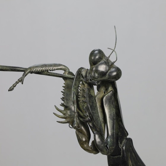 Image 1 of Scultura Mantide religiosa - Sonata nuziale di Anne Shingleton 1995