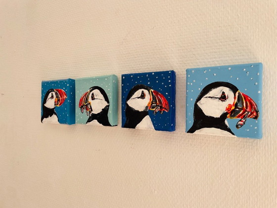 Image 1 of portrait of a puffin