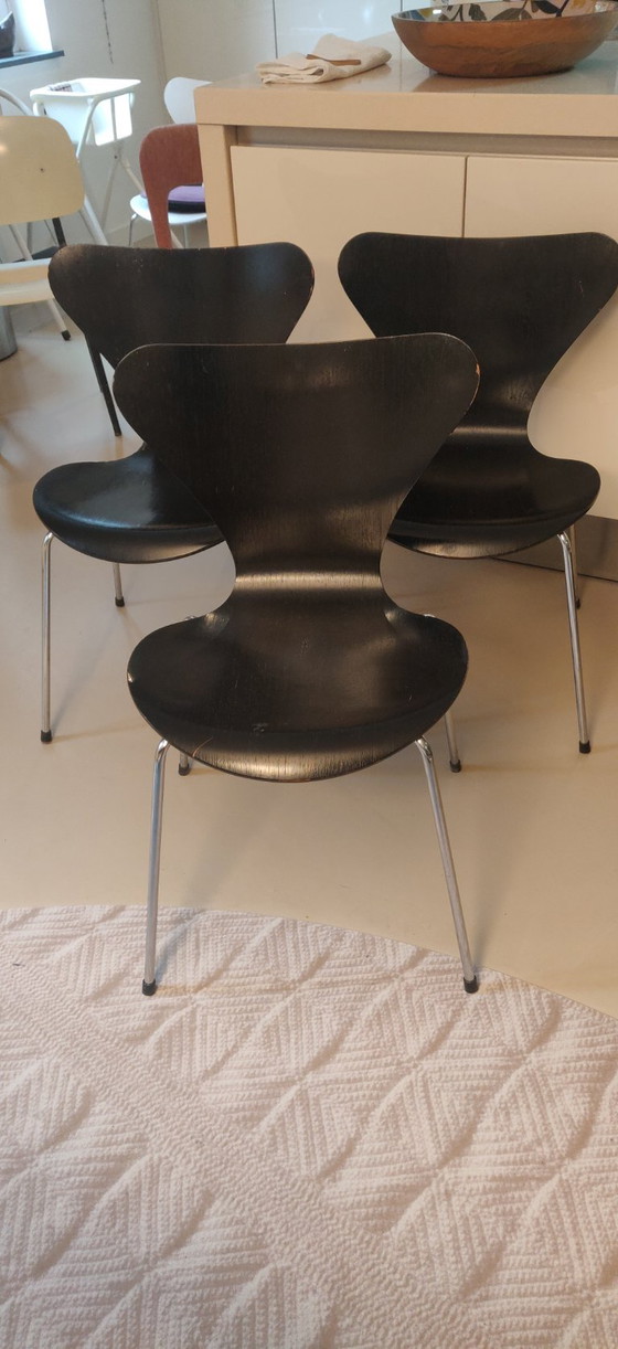 6x Sedie Arne Jaconsen nere, Serie 7 – Louis Poulsen, Sedie da pranzo, Legno (photo 5 of 9)