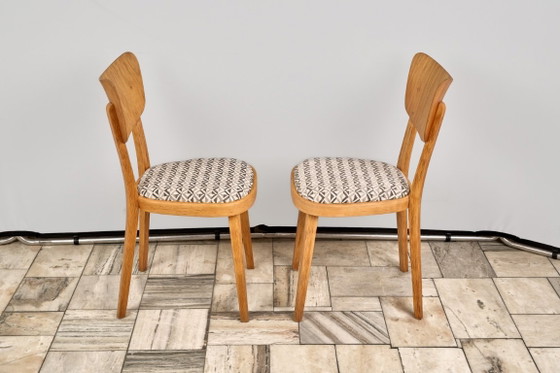 Set of 4 Dining Chairs, by TON, 1960s, Czechoslovakia – Textile, Wood (photo 11 of 15)