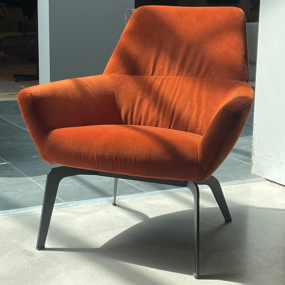 Image 1 of Poltrona Bert Plantagie Zyba Low Four