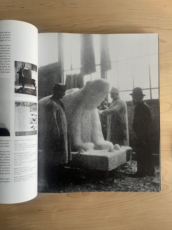 Image 1 of Francios Pompon boek