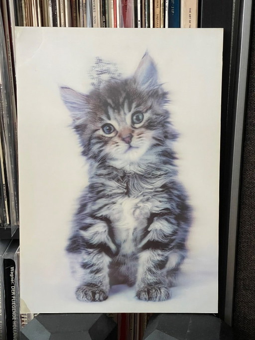 Impresión lenticular, Gatito, Multicolor