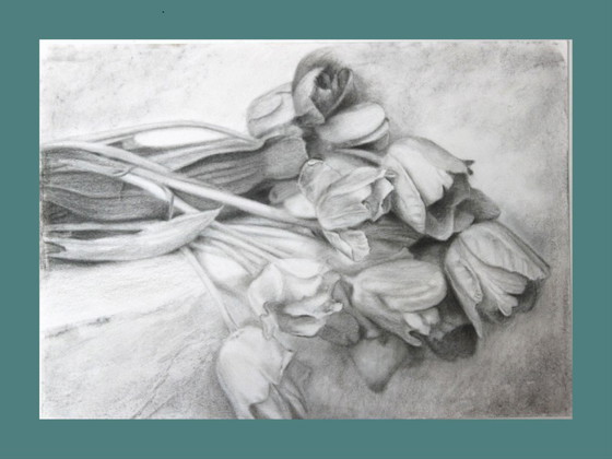 Image 1 of Charcoal drawing of tulips on paper. Tulip painting. Tulip drawing. Flower drawing. Flower painting. Signed.